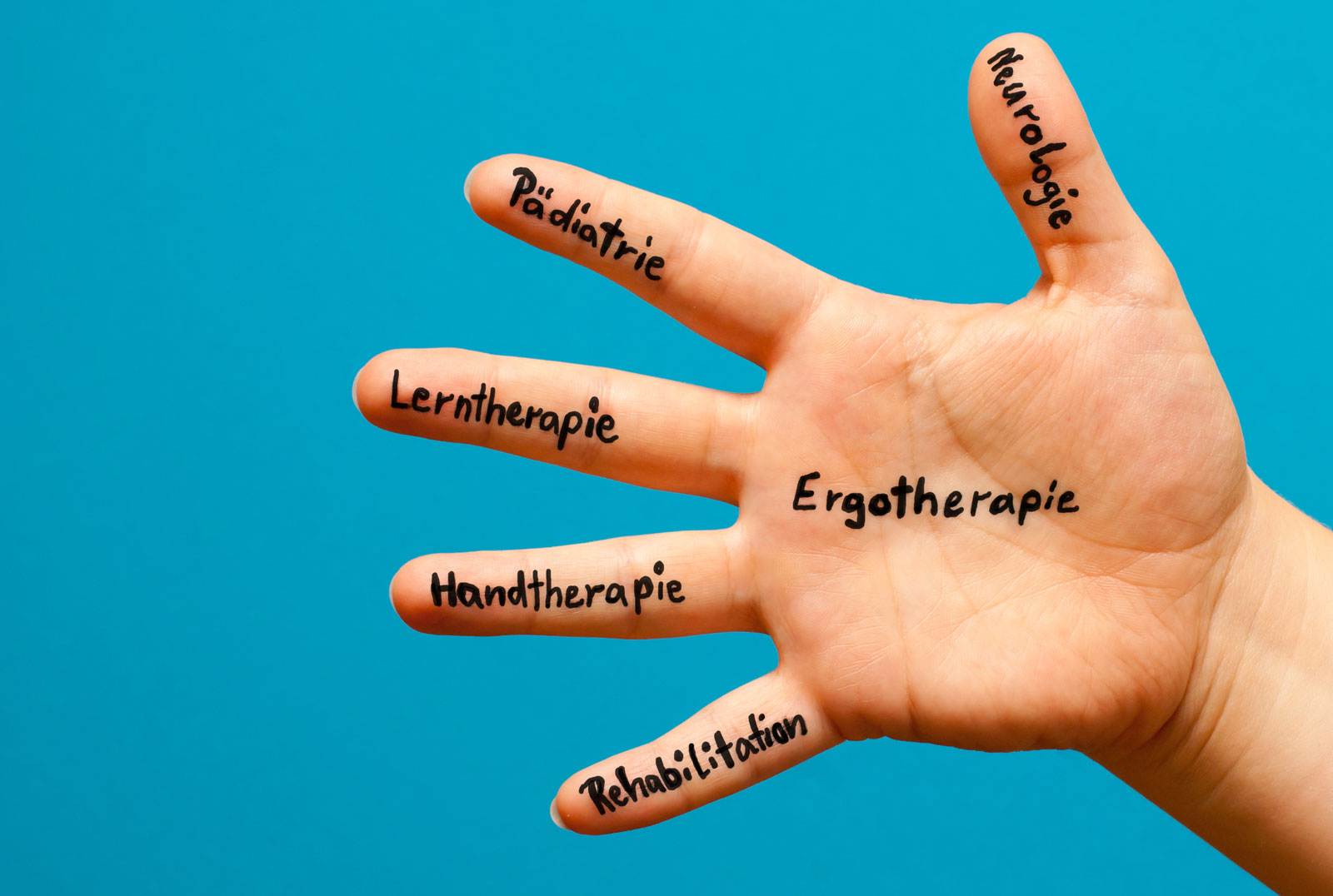 Behandlungsangebot Behandlungsangebot